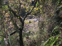 cantara gurne23122011 131
